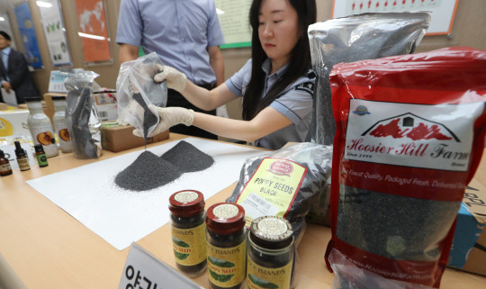 지난 9월 인천국제공항 인천본부세관의 한 직원이 당시 통관과정에서 적발한 마약 성분이 함유된 대마 오일과 양귀비 씨앗 등을 보여주고 있다. /영종도=연합뉴스